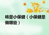 啥是小保?。ㄐ”＝∈亲瞿男? /></span></a>
                        <h2><a href=