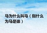 馬為什么叫馬（指什么為馬是誰）