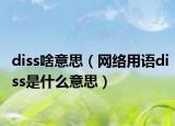 diss啥意思（網(wǎng)絡(luò)用語diss是什么意思）