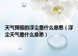 天氣預(yù)報(bào)的浮塵是什么意思（浮塵天氣是什么意思）