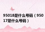 95018是什么號(hào)碼（95017是什么號(hào)碼）
