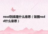 nssd到底是什么意思（飯圈nsdd什么意思）