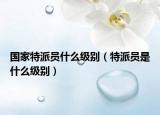 國家特派員什么級別（特派員是什么級別）