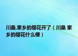 川桑,家鄉(xiāng)的櫻花開(kāi)了（川桑 家鄉(xiāng)的櫻花什么梗）