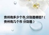 貴州有多少個市,分別是哪些?（貴州有幾個市 分別是）