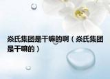 焱氏集團(tuán)是干嘛的?。褪霞瘓F(tuán)是干嘛的）
