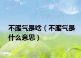 不服氣是啥（不服氣是什么意思）