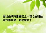 巫山巫峽氣蕭森的上一句（巫山巫峽氣蕭森這一句的意思）