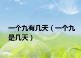 一個九有幾天（一個九是幾天）