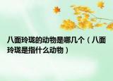 八面玲瓏的動物是哪幾個（八面玲瓏是指什么動物）