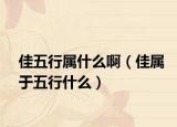 佳五行屬什么?。褜儆谖逍惺裁矗? /></span></a>
                        <h2><a href=