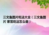 三文魚圖片吃法大全（三文魚圖片 家常吃法怎么做）