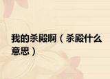 我的殺殿?。⒌钍裁匆馑迹? /></span></a>
                        <h2><a href=