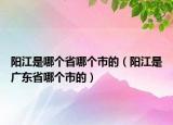 陽江是哪個(gè)省哪個(gè)市的（陽江是廣東省哪個(gè)市的）