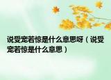 說受寵若驚是什么意思呀（說受寵若驚是什么意思）