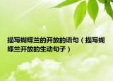 描寫蝴蝶蘭的開放的語句（描寫蝴蝶蘭開放的生動(dòng)句子）