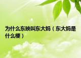 為什么東映叫東大媽（東大媽是什么梗）