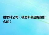 銳思科公司（銳思科集團是做什么的）