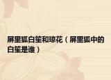 屏里狐白笙和瓊花（屏里狐中的白笙是誰）