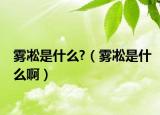 霧凇是什么?（霧凇是什么?。? /></span></a>
                        <h2><a href=
