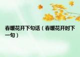 春暖花開下句話（春暖花開時下一句）