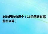 16的因數(shù)有哪個(gè)（16的因數(shù)有哪些怎么算）