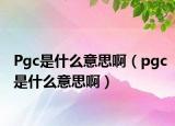 Pgc是什么意思?。╬gc是什么意思?。? /></span></a>
                        <h2><a href=