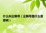 什么叫企鵝號(hào)（企鵝號(hào)是什么意思啊）