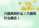 八級(jí)風(fēng)叫什么（八級(jí)風(fēng)什么概念）