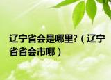 遼寧省會是哪里?（遼寧省省會市哪）