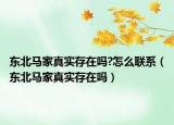 東北馬家真實(shí)存在嗎?怎么聯(lián)系（東北馬家真實(shí)存在嗎）