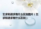 乞求和請求有什么區(qū)別圖片（乞求和請求有什么區(qū)別）
