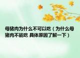 母豬肉為什么不可以吃（為什么母豬肉不能吃 具體原因了解一下）