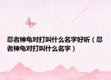 忍者神龜對打叫什么名字好聽（忍者神龜對打叫什么名字）