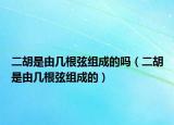 二胡是由幾根弦組成的嗎（二胡是由幾根弦組成的）
