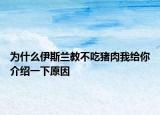 為什么伊斯蘭教不吃豬肉我給你介紹一下原因