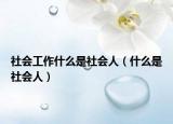 社會工作什么是社會人（什么是社會人）
