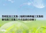 怎樣區(qū)分三文魚（如何分辨養(yǎng)殖三文魚和野生的三文魚三個方法進(jìn)行分辨）