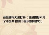 音量圖標(biāo)無法打開（音量圖標(biāo)不見了怎么辦 按照下面步驟操作吧）