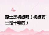 藥士是初級嗎（初級藥士是干嘛的）