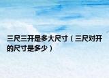 三尺三開是多大尺寸（三尺對開的尺寸是多少）