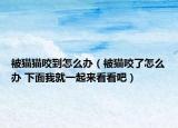 被貓貓咬到怎么辦（被貓咬了怎么辦 下面我就一起來(lái)看看吧）