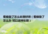 蜜蜂蟄了怎么處理好得（蜜蜂蟄了怎么辦 可以這樣處理）