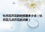 牡丹花開花的時間是多少點（牡丹花幾點開花的點數(shù)）