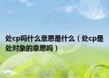 處cp嗎什么意思是什么（處cp是處對(duì)象的意思嗎）