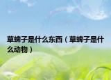 草蜱子是什么東西（草蜱子是什么動物）