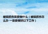 被貓抓傷需要做什么（被貓抓傷怎么辦 一定要做好以下工作）
