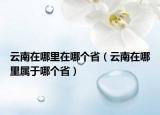 云南在哪里在哪個(gè)?。ㄔ颇显谀睦飳儆谀膫€(gè)?。? /></span></a>
                        <h2><a href=