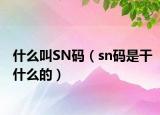 什么叫SN碼（sn碼是干什么的）