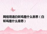 網(wǎng)絡(luò)用語白斬雞是什么意思（白斬雞是什么意思）